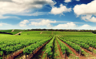 Agricultural