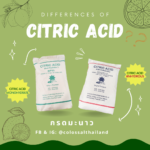 Differences of Citric Acid (Citric Acid Monohydrate & Citric Acid Anhydrous)