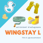 Antioxidant for Rubber (Wingstay L)