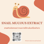 Snail Mucous Extract  (สารสกัดจากเมือกหอยทาก)