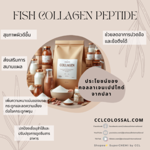 Fish Collagen Peptide – ประโยชน์ของคอลลาเจนเปปไทด์จากปลา