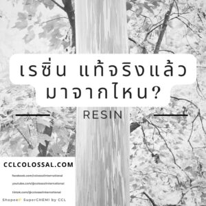 The Origin of Resin – เรซิ่นแท้จริงแล้วมาจากไหน