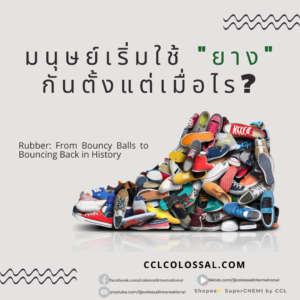 The History of Rubber – มนุษย์เริ่มใช้ยางกันตั้งแต่เมื่อไร